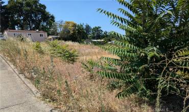 220 4th Street, Lakeport, California 95453, ,Land,Buy,220 4th Street,LC24140391