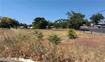 455 N Forbes Street, Lakeport, California 95453, ,Land,Buy,455 N Forbes Street,LC24140387