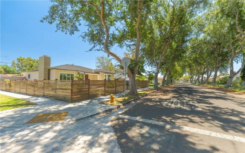 Wide Tree-Lined Street with Plenty of Street Parking