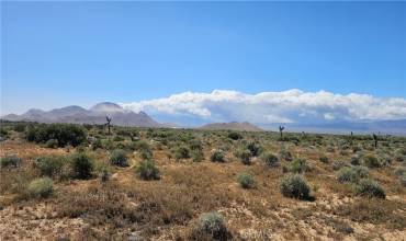 0 12th Street E, Mojave, California 93501, ,Land,Buy,0 12th Street E,SR24140637