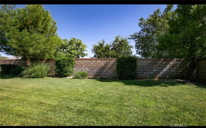 large backyard, big enough for a pool