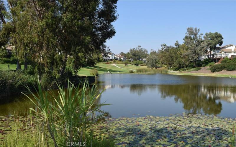 Walk around the lake on the maendering walkway, Enjoy fishing, Tennis, Community pool and The Equestrian facility.  All behind the private gates of Broadmoor.
