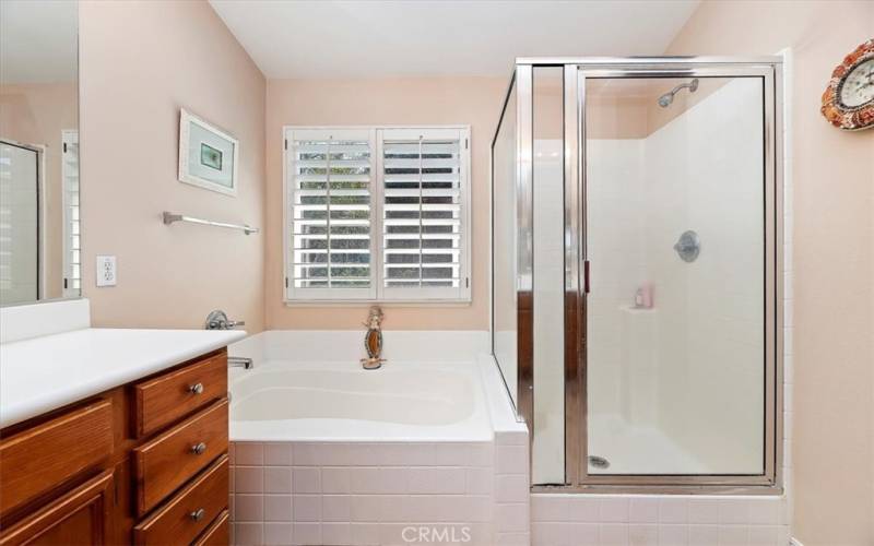 Separate Soaking Tub and Shower
