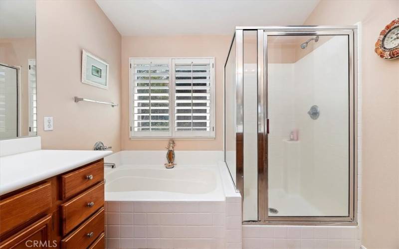 Separate Soaking Tub and Shower