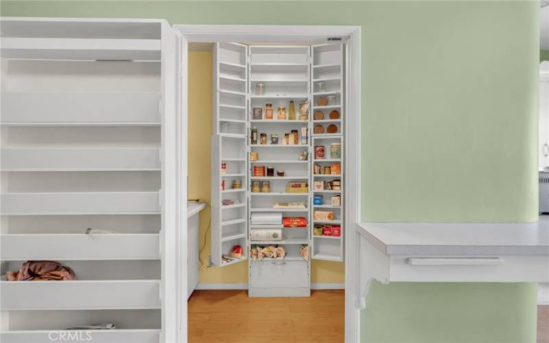 Pantry in kitchen.