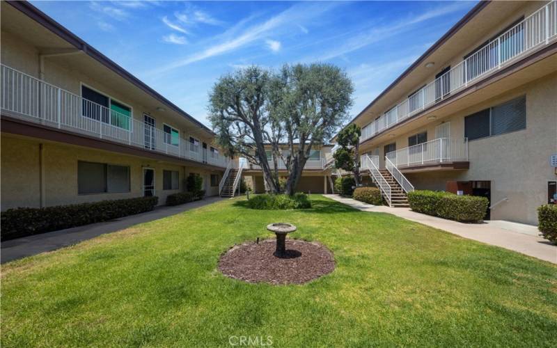 Beautifully maintained tree-lined community courtyard area