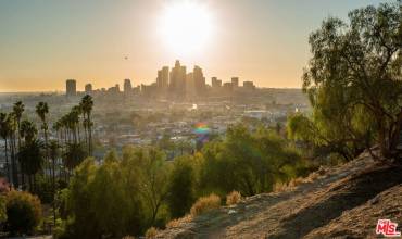 1390 Abrigo Avenue, Los Angeles, California 90031, ,Land,Buy,1390 Abrigo Avenue,21113837