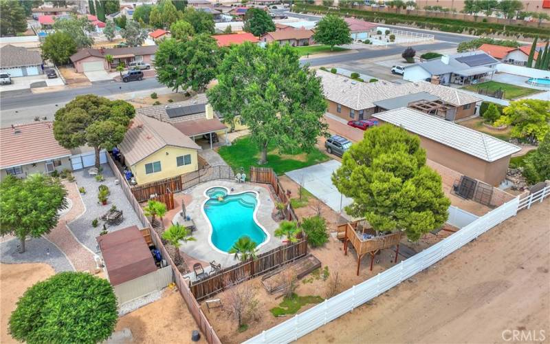 Backside of property with fruit trees and a garden bed