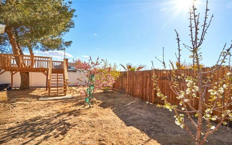 Fruit trees and treehouse in the background.