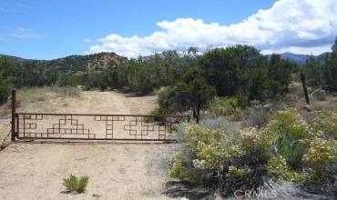 0 Vac/Devil S Punchbowl Rd/Vic 1, Juniper Hills, California 93543, ,Land,Buy,0 Vac/Devil S Punchbowl Rd/Vic 1,SR23127300