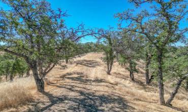 0 Wood Duck Pass Road, Red Bluff, California 96080, ,Land,Buy,0 Wood Duck Pass Road,ML81972613