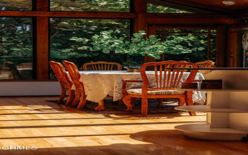 Sun Lit Kitchen