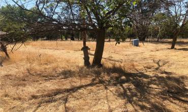 5682 Anita Road, Chico, California 95973, ,Land,Buy,5682 Anita Road,SN24141811