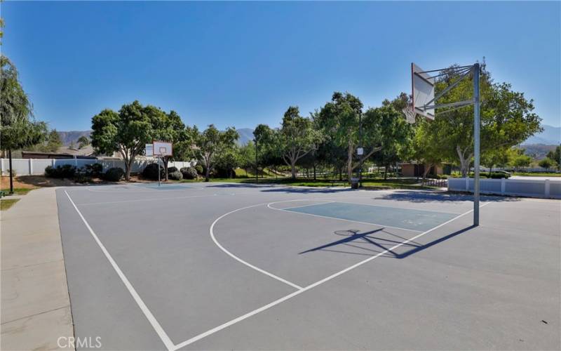 Basketball Court