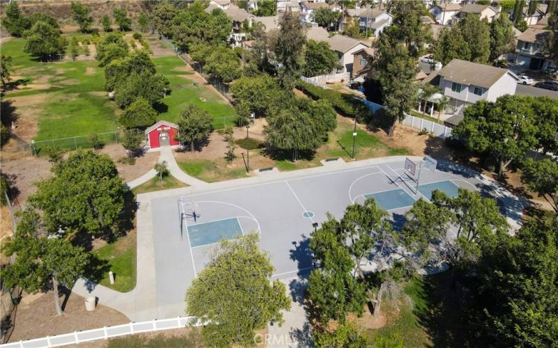 Overhead Dog Park/Basketball Court