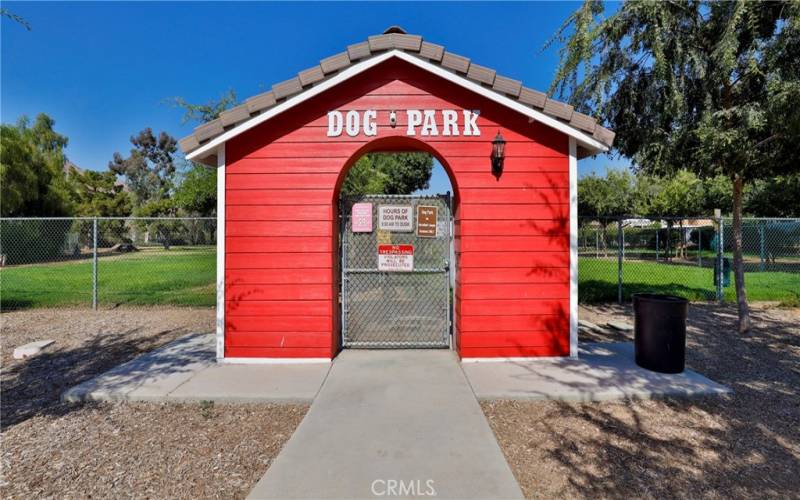 Dog Park