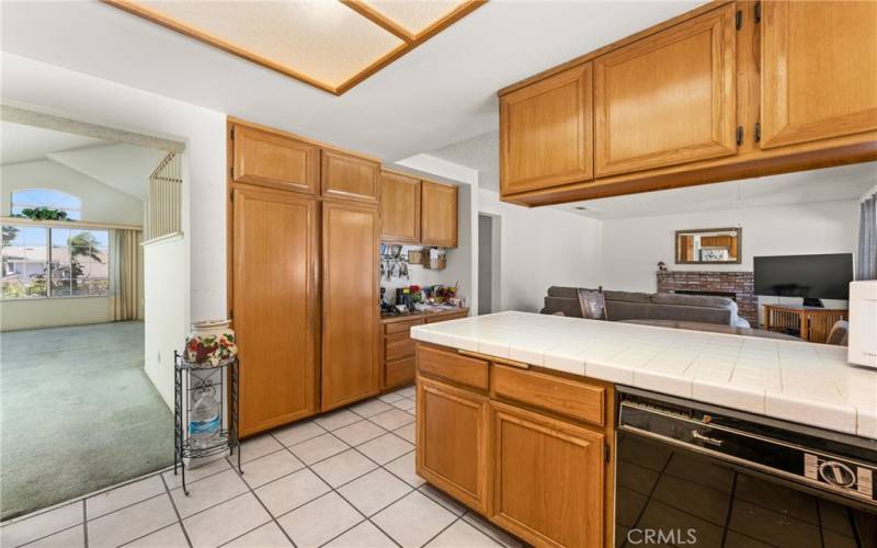 Pantry Area + Dishwasher