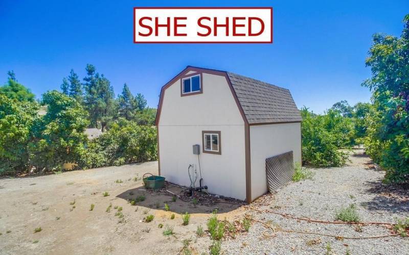 She Shed