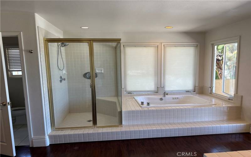 Primary Jetted Tub & shower
