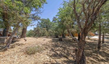 0 Sheephorn Road, Big Bear, California 92314, ,Land,Buy,0 Sheephorn Road,PW24142506