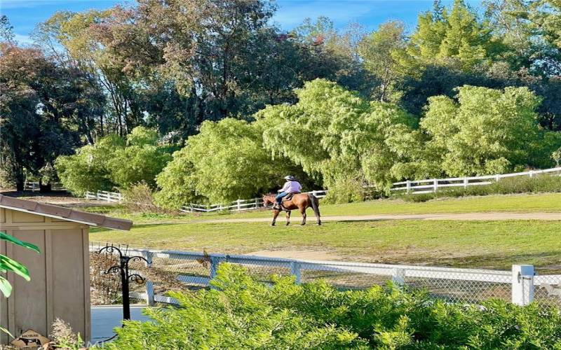 Enjoy ambience of the horses strolling by your home!!