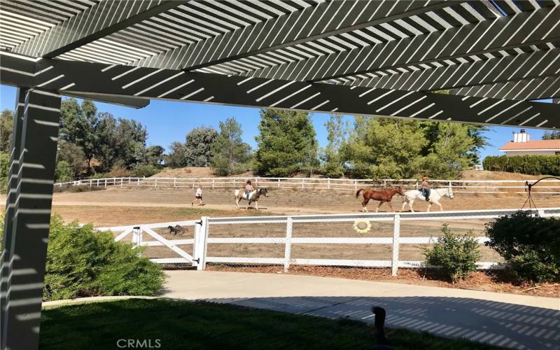 Sitting in your new kitchen watching beautiful horses trot by!