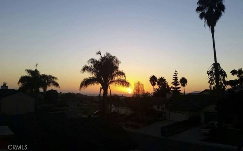 Pismo Sunset & Palm Trees