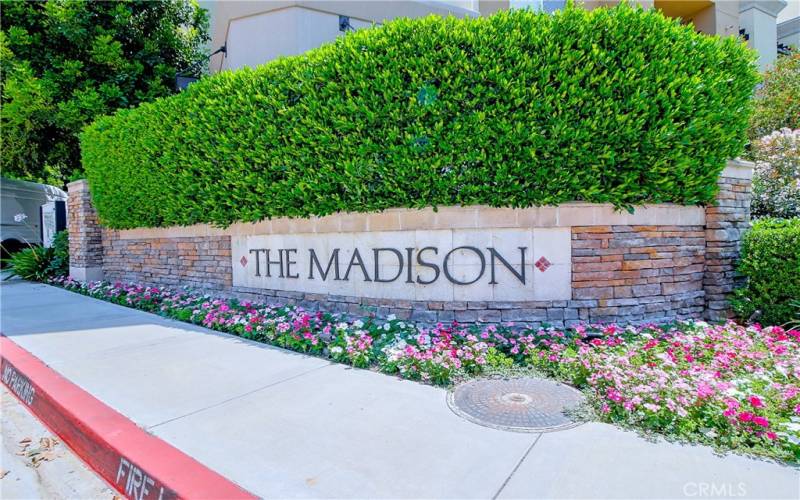 The Madison