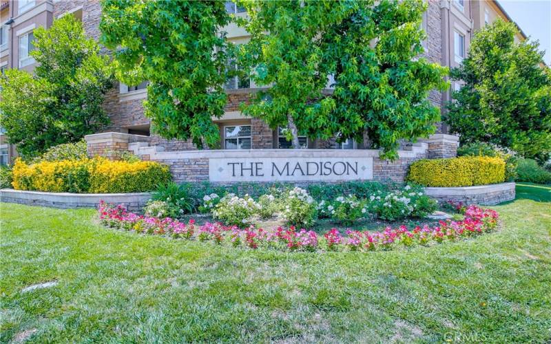 The Madison