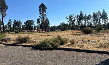 13915 Chestnut Circle, Magalia, California 95954, ,Land,Buy,13915 Chestnut Circle,PA24142698