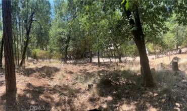 16330 Manzanita Court, Cobb, California 95426, ,Land,Buy,16330 Manzanita Court,LC24137970