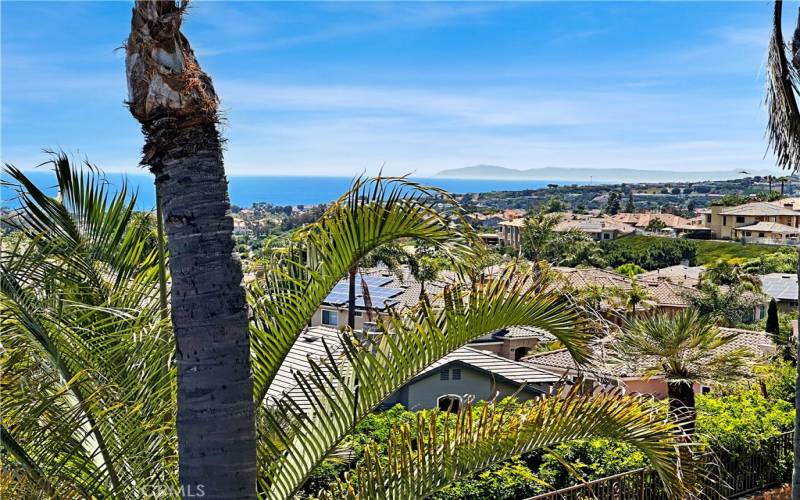 Catalina Island view