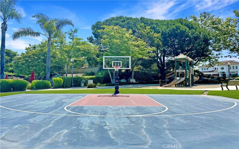 community basketball court