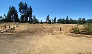 6306 Janine Court, Magalia, California 95954, ,Land,Buy,6306 Janine Court,SN24142789