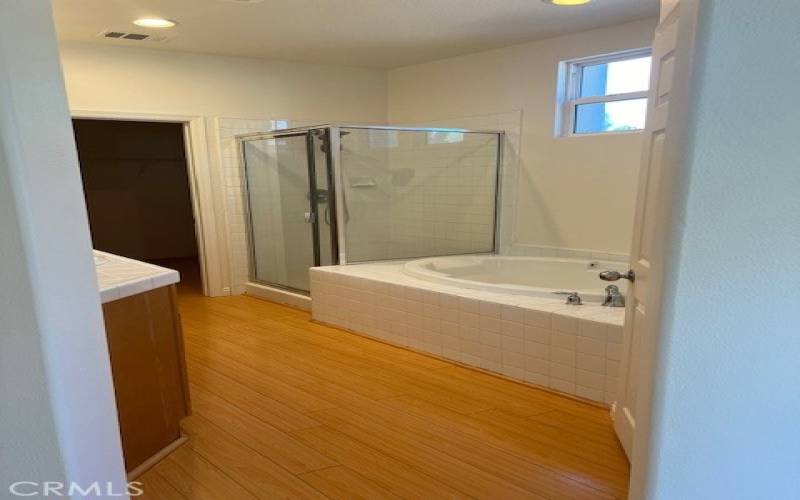 Primary Bathroom with Separate Tub, Shower and Massive walk-in closet