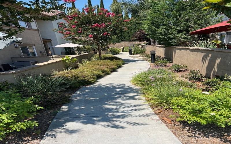 A Beautiful walkway to your front door entry is most impressionable to family and guests alike.