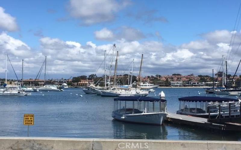 An Easy Stroll to the Bay, Boat Rentals, Kayaking, Paddleboarding, Ferry to Balboa Island