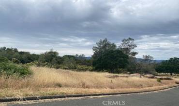 16365 Tinilyn Road, Lower Lake, California 95457, ,Land,Buy,16365 Tinilyn Road,LC23099295