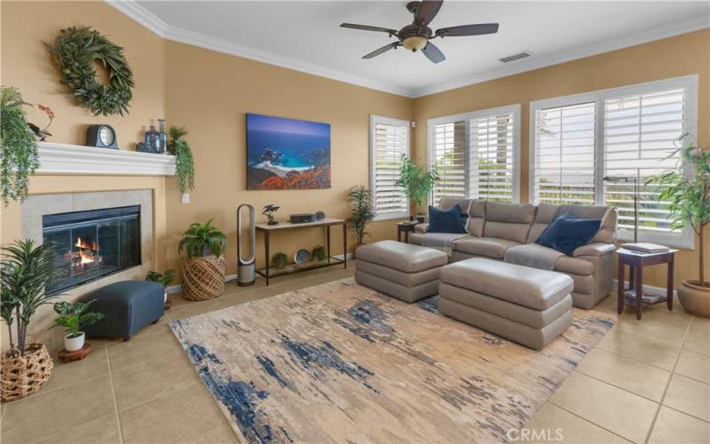 Family Room with fireplace and views