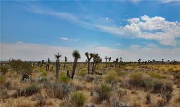 0 Bammer St Street, Llano, California 93544, ,Land,Buy,0 Bammer St Street,SR24143561