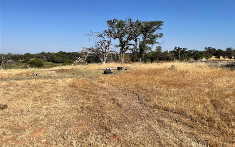 Potential building area at top of driveway