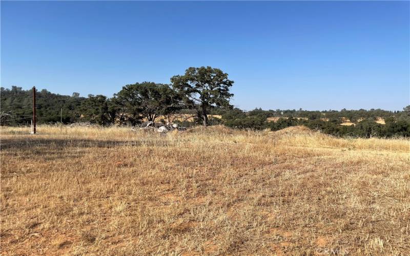 Potential building area at top of driveway