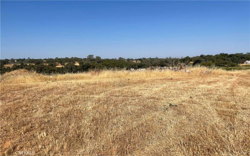 Potential building area at top of driveway