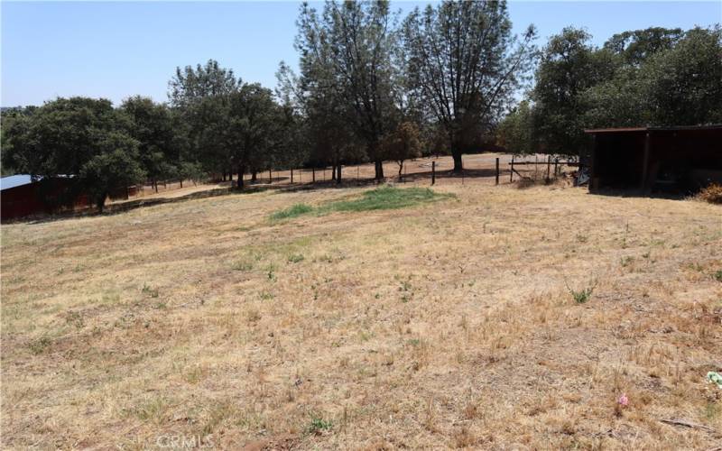 Large fenced backyard