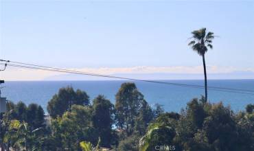 View from rooftop deck