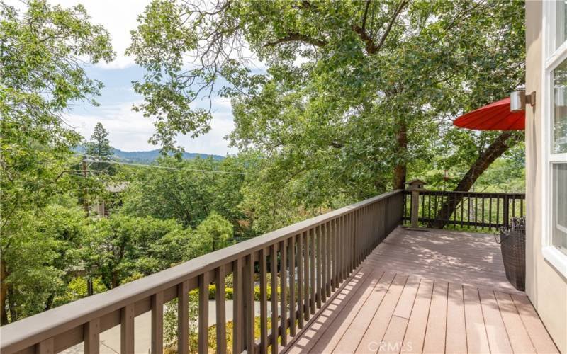 Living Room Deck