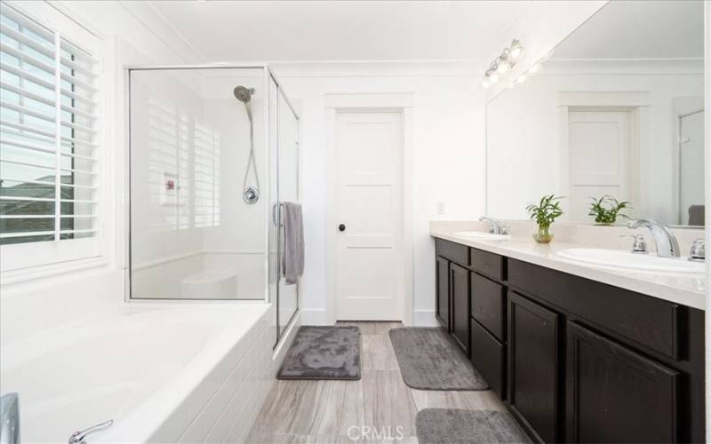 Spacious Primary bathroom with soaking tub, dual sinks, walk in shower and walk in closet
