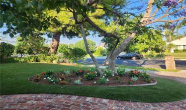 Front Yard View