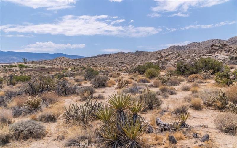 Neighboring homes blend with natural beauty of area