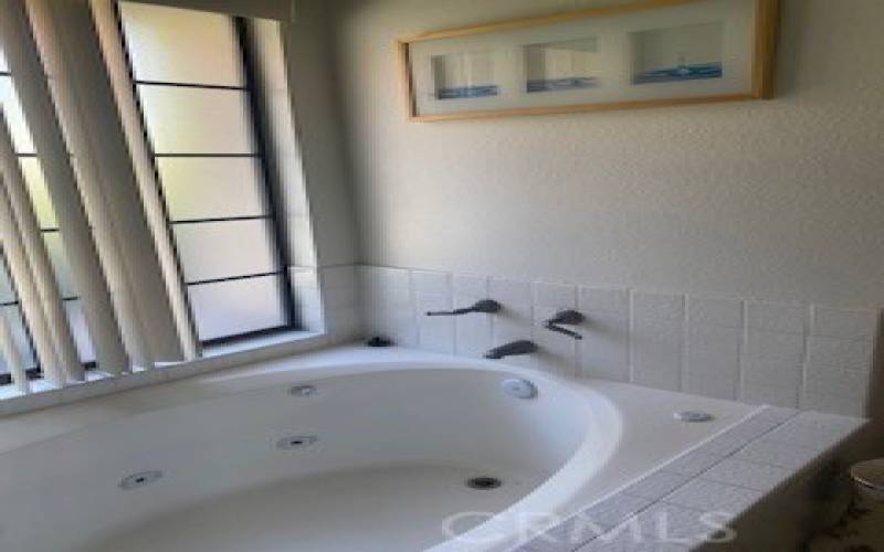 2nd Bathroom Spa Tub